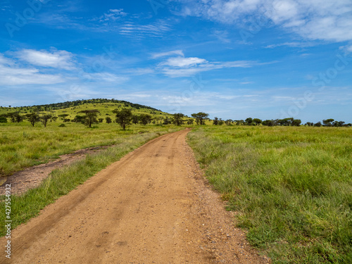 Dirt road through Serengeti National Park  Tanzania
