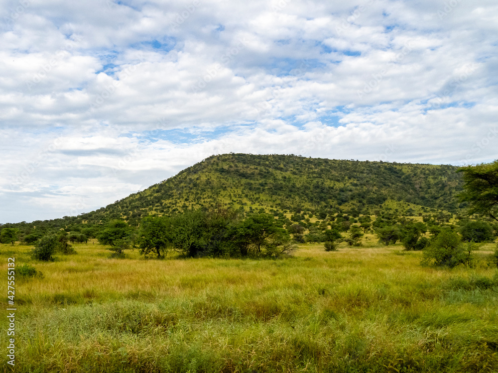 Serengeti National Park, Tanzania, Africa - February 29, 2020: Scenic Views across Serengeti National Park