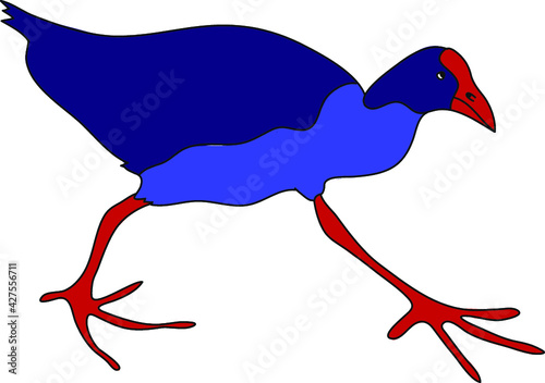 Pukeko
