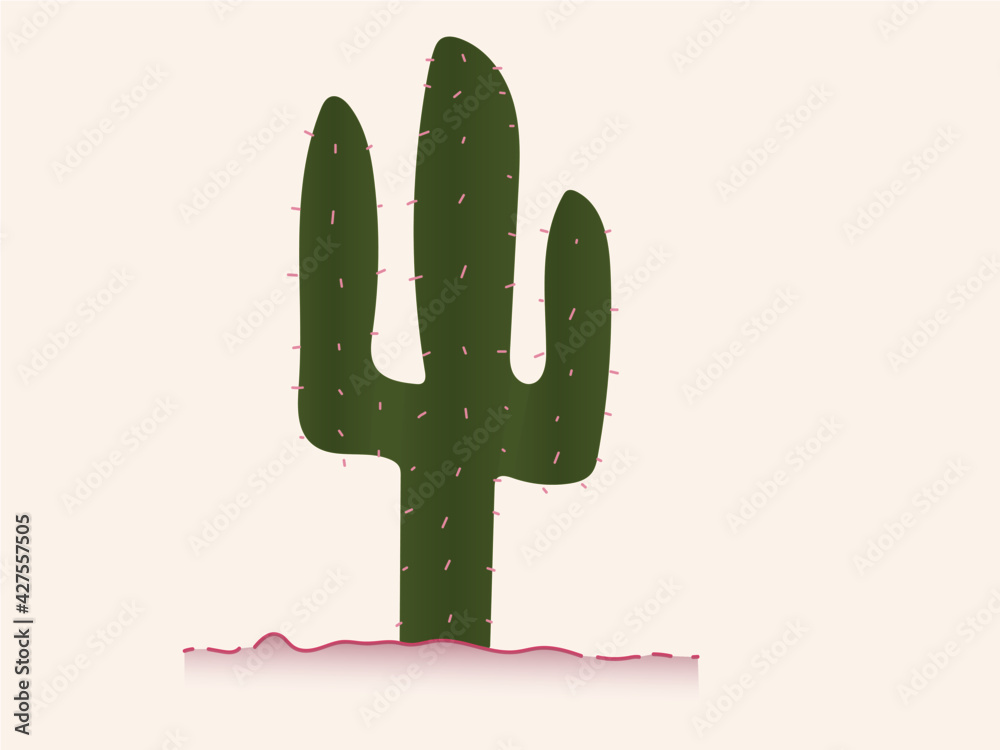 Cactus Illustration Cactus Illustration