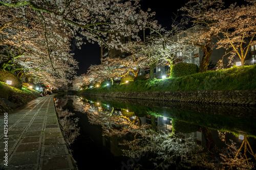富山・松川周辺の夜桜ライトアップ