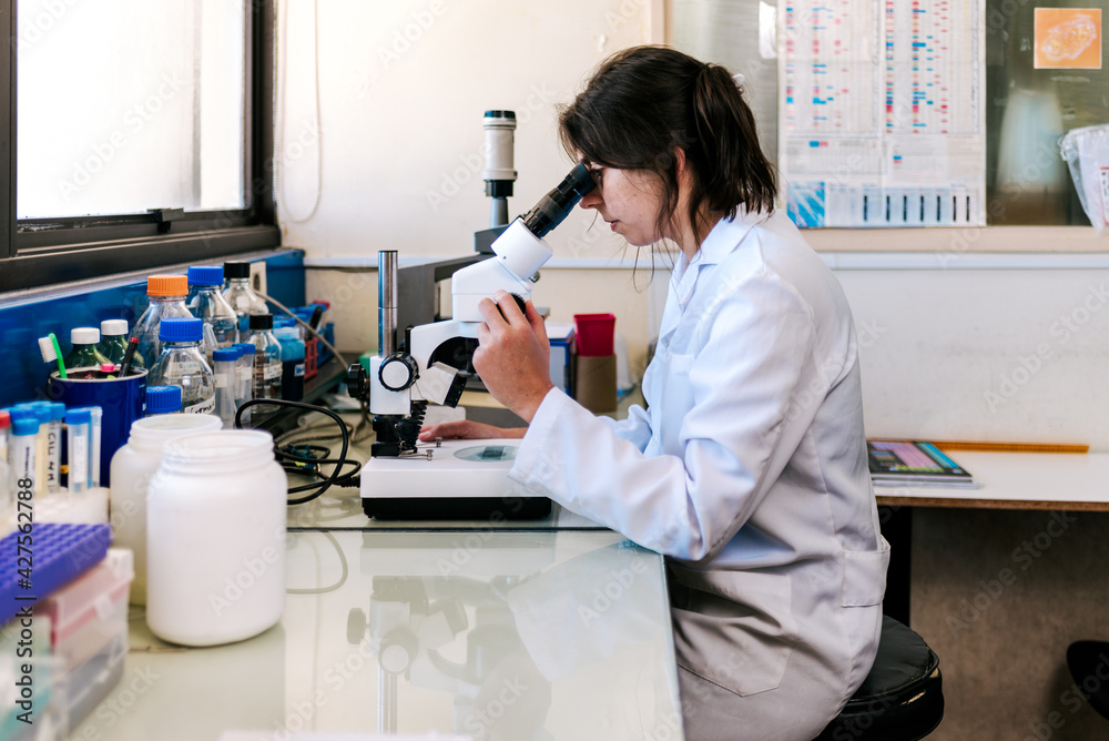 Female Scientist Using Microscopy in Laboratory Female Scientist Using Microscopy in Laboratory