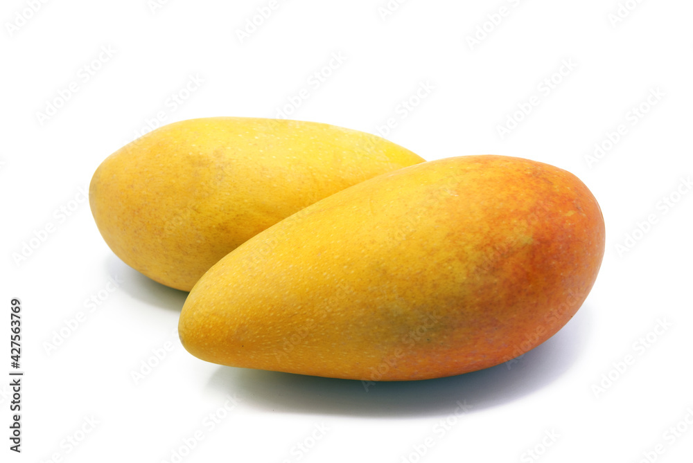 two ripe mangoes on a white background