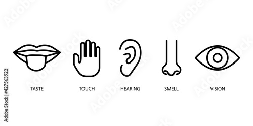 Sense organs in cartoon style. Graphic image of nose, mouth, ears, eyes, hands. Stock image. Vector illustration. EPS 10.