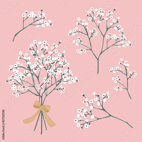 Vector Baby's Breath Flowers tied with ribbon