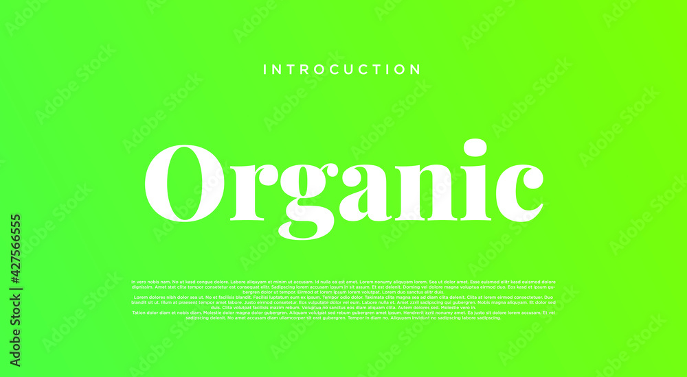 Elegant alphabet letters font. Classic Modern Serif Lettering Minimal Fashion Designs. Typography decoration fonts for branding, wedding, invitations, logos. vector illustration Elegant alphabet letters font. Classic Modern Serif Lettering Minimal Fashion Designs. Typography decoration fonts for branding, wedding, invitations, logos. vector illustration