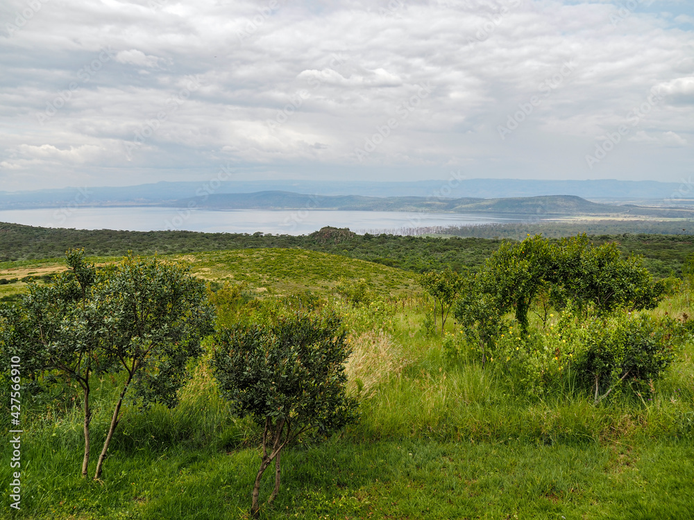 Scenic view of Lake Nakuru National Park, Kenya, Africa