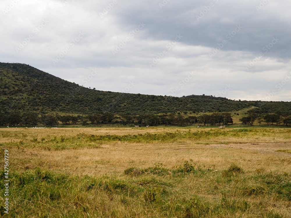 Scenic view across Lake Nakuru National Park, Kenya, Africa