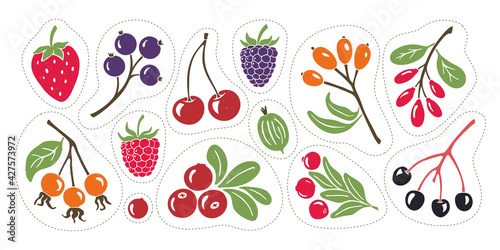 Bright and juicy berry set. Colorful stickers with contours for cutting down isolated on transparent background	