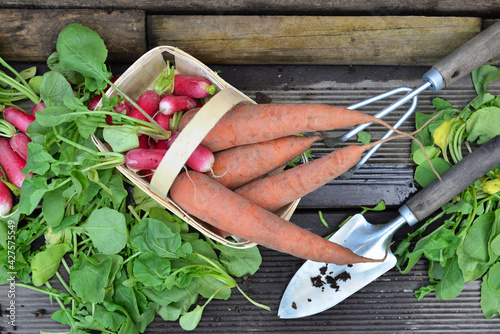 fresh carrots and radishes in a little basket with leaf cut    put on a plank...