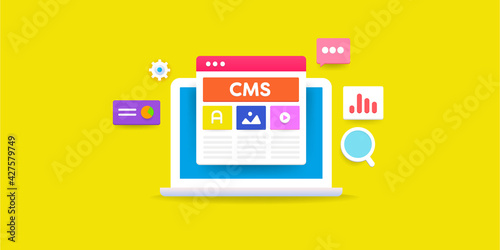 CMS - content management system, blogging software application. Content edit and publish and marketing technology.