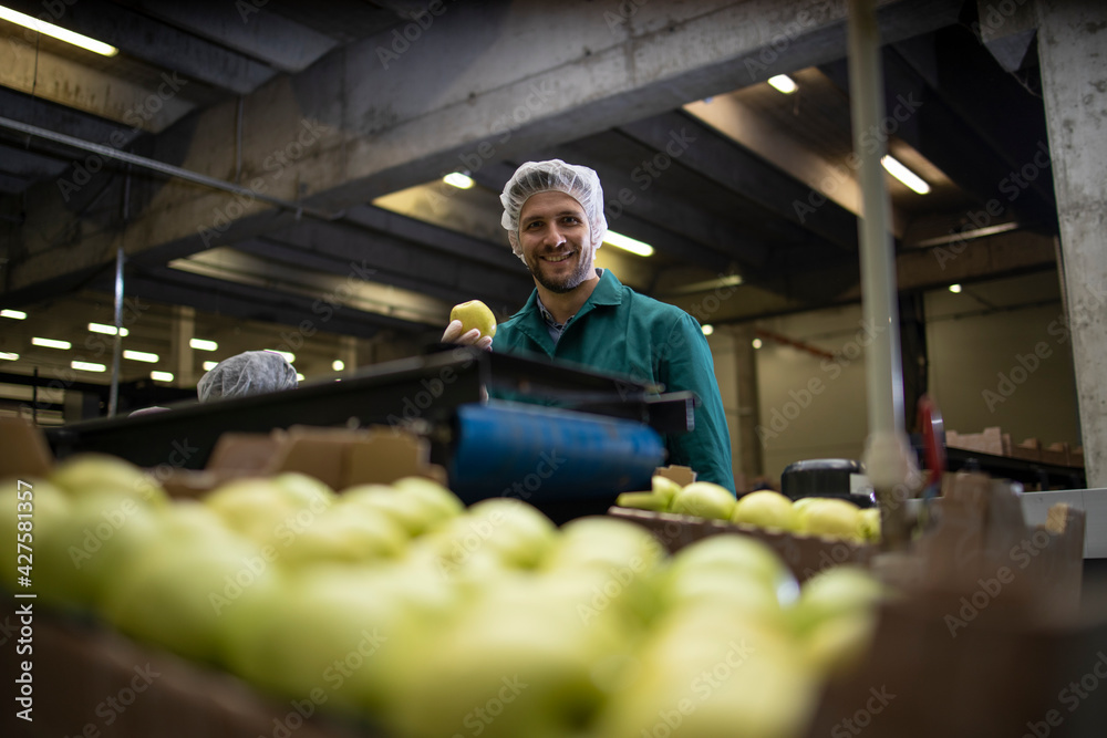 Fototapeta premium Worker in organic food factory sorting green apples and conveyer belt transporting to the cold storage.