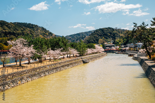 Uji riverside park at spring in Kyoto, Japan