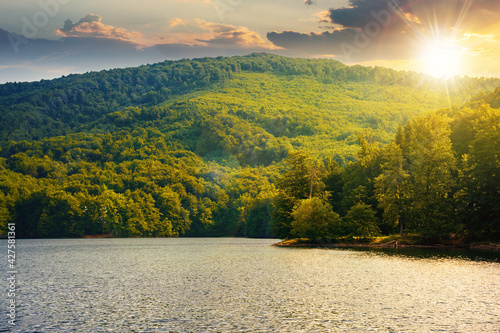 lake among beech forest in summer at sunset. beautiful nature landscape in mountains. vihorlat national park in evening light photo