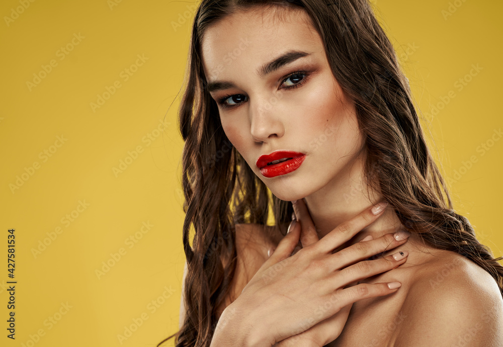 Attractive lady with red lips long hair to brunettes model Attractive lady with red lips long hair to brunettes model