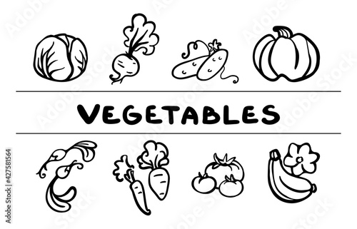 Set of  outline vegetables icons for your design. Hand-drawn vector clipart. Pumpkin, cabbage, carrot, cucumber, tomato, radish, beetroot, squash