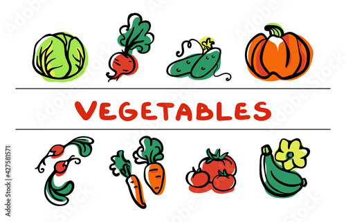 Set of colored vegetables icons for your design. Hand-drawn vector clipart. Pumpkin, cabbage, carrot, cucumber, tomato, radish, beetroot, squash