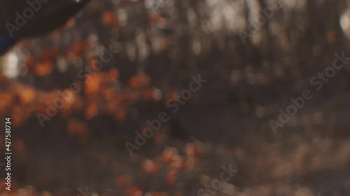 Prayer Flags Blowing In Wind From Tree In Autumn