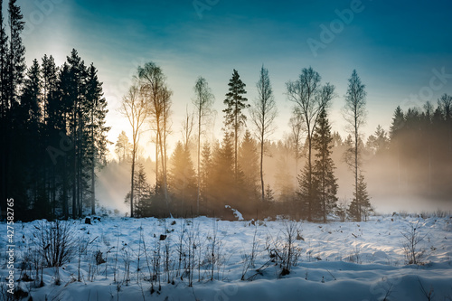 Beautiful winter landscape at sunrise. Winter field with snow and the trees all around.