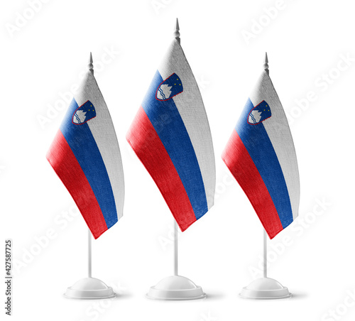 Small national flags of the Slovenia on a white background