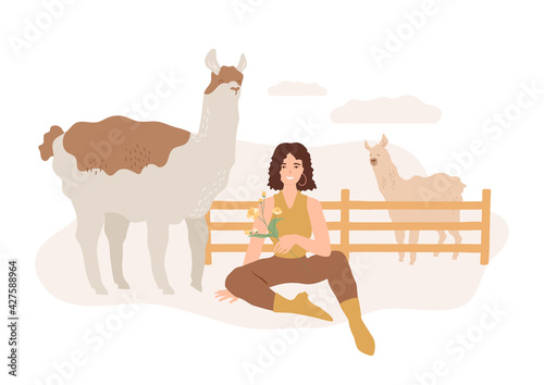 Cute alpacas on the farm. Beautiful happy woman with lamas in corral. Smiling female farmer sitting on the ground on ranch with flowers branch in her hand. Friendly animal.