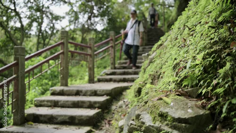 Hikers descended from the stairs of the trail. Hikers descended from the stairs of the trail.