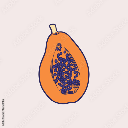 Papaya hand drawn sketch en...