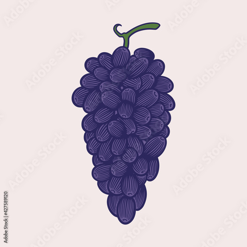 Vector sketch illustration ...