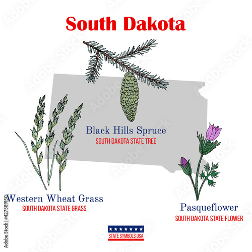 South Dakota. Set of USA official state symbols
