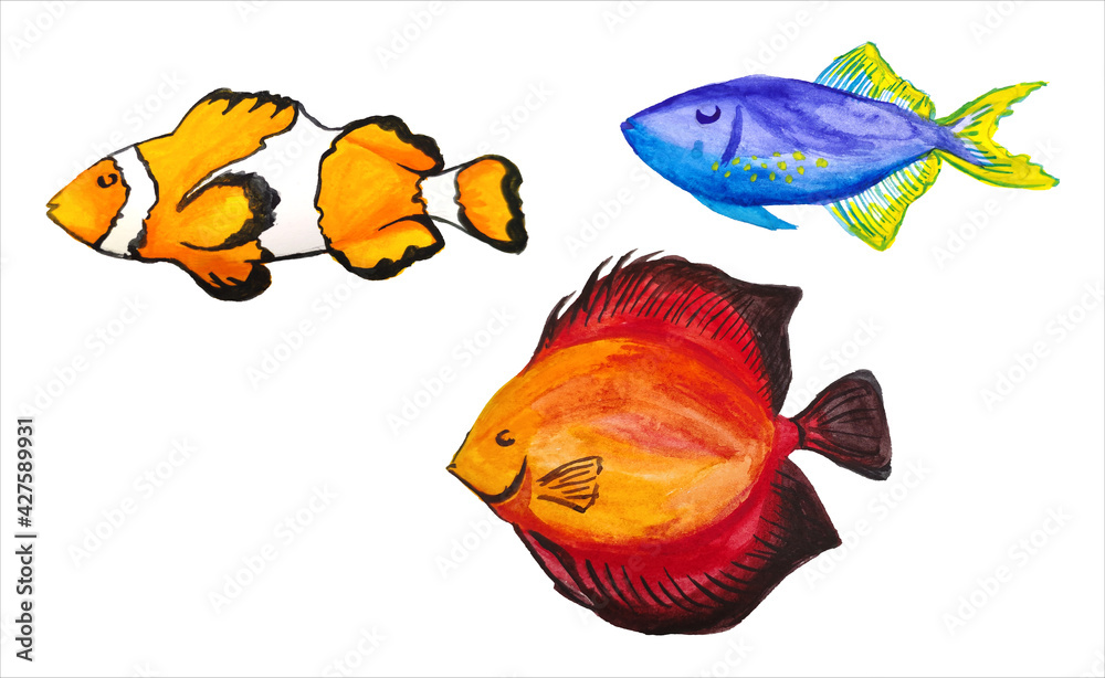 Fototapeta premium set of watercolor marine tropical fish. Isolated bright sea fish in watercolor technique on a white background. 