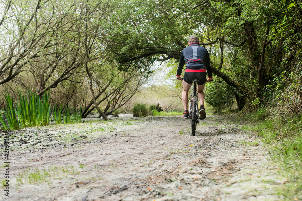 middle-aged man mountain biking in a wonderful setting middle-aged man mountain biking in a wonderful setting