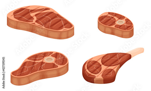 A set of pieces of grilled meat with layers of fat. Knuckle with bone, shoulder blade, fillet. Cooked fried meat. Flat cartoon vector illustration isolated on a white background.