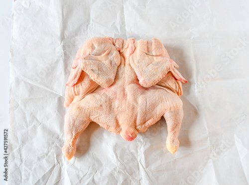 Fresh raw whole chicken cutting half for grill on white paper. ingredeint concept. Top view photo