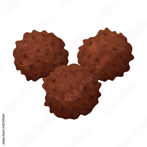 Fried meatballs. Food, ready-made meat dish. Flat style. Color vector illustration isolated on a white background