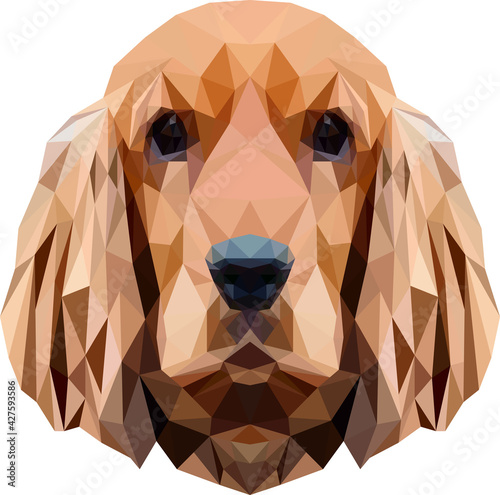 Portrait of a dog of breed Spaniel in low poly style. Very friendly and kind. Vector illustration