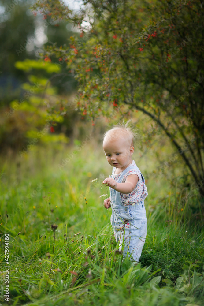 funny emotional toddler baby in the summer in the park looks at flowers and blades of grass, the toddler explores the garden paths. The first steps of a shaggy Caucasian toddler funny emotional toddler baby in the summer in the park looks at flowers and blades of grass, the toddler explores the garden paths. The first steps of a shaggy Caucasian toddler
