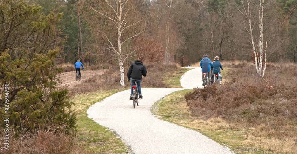 People riding bikes in the Netherlands