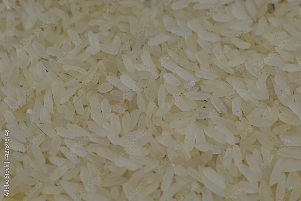Closeup view of white rice. Selective focus image. Closeup view of white rice. Selective focus image.