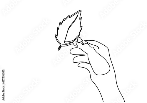 One line drawing of plant i...
