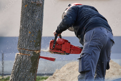 Arbeiter sägt einen Baum um