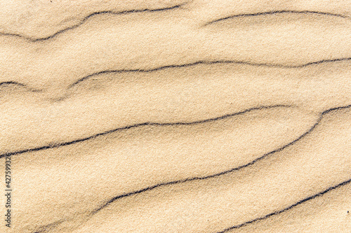 Sand texture.Dented wave of the blow of the wind photo