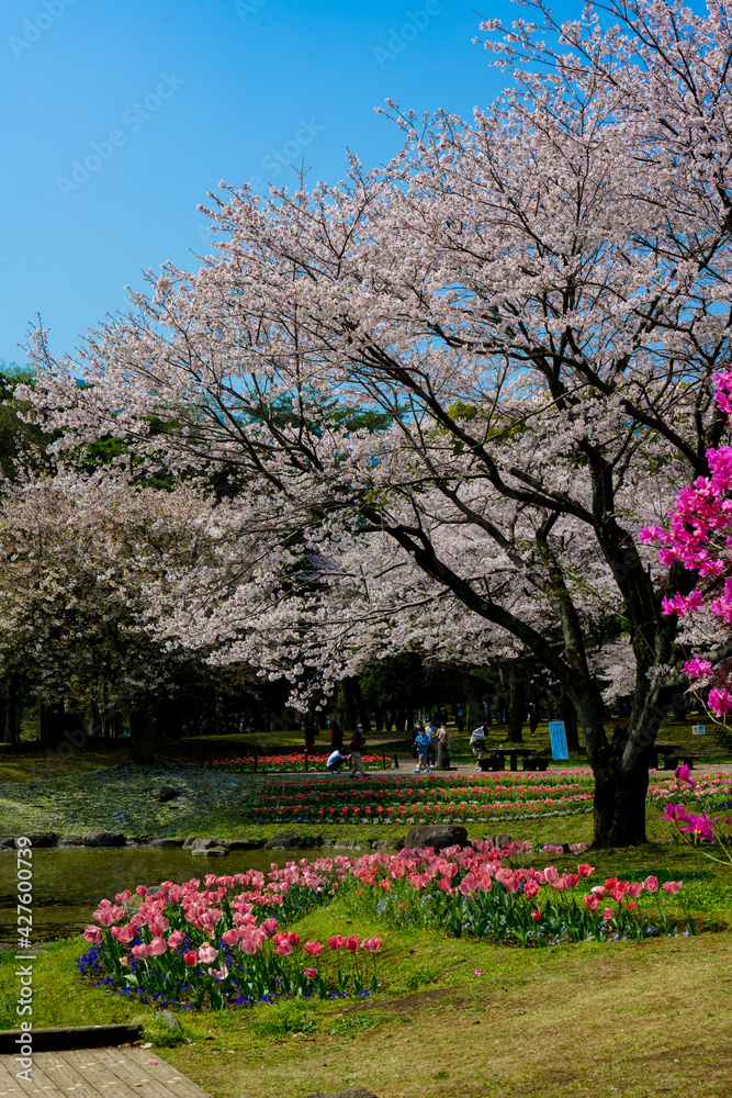 別府公園