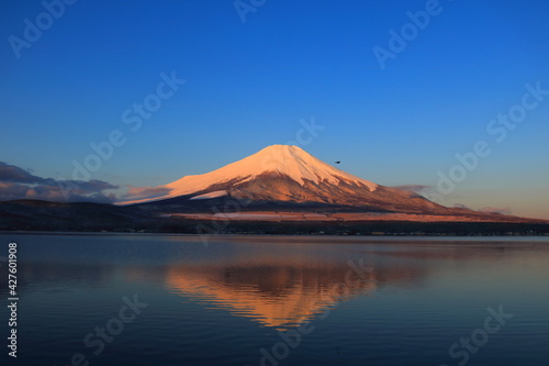 夜明けの赤く染まった富士山
