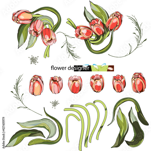 Flower designer. Pink tulips.Many different beautiful petals and blades of grass. Twisted into an ornament. A set of elements. To create your own design. A game with an application.Isolated
