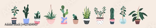 Home plants in flowerpot. Houseplants isolated. Trendy hugge style, urban jungle decor. Hand drawn. Set collection. Green, blue, pink, brown, beige pastel colors. Print, poster, banner. Logo, label.