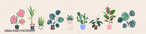 Home plants in flowerpot. Houseplants isolated. Trendy hugge style, urban jungle decor. Hand drawn. Set collection. Green, blue, pink, brown, beige pastel colors. Print, poster, banner. Logo, label.