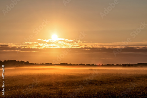 Foggy dawn in the Pskov region