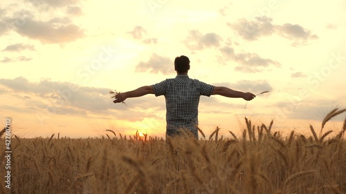 Happy farmer walks across field with joyfully raised hands, ripe wheat in rays of sunset. Businessman inspects his wheat field, grain harvest. Agricultural plantation. Ears with grain in field