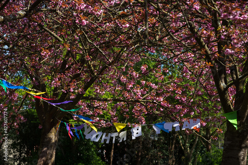 Weird birthday party during coronavirus pandemic lockdown. Happy birthday decoration inversed under blooming trees. Nobody. Spoiled celebration concept. photo