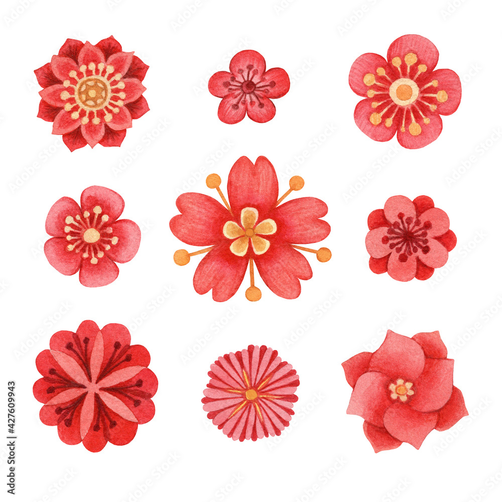 Red flowers on white background isolated. Nine different red, purple, pink, yellow spring flowers. Cute natural elements for your design.
